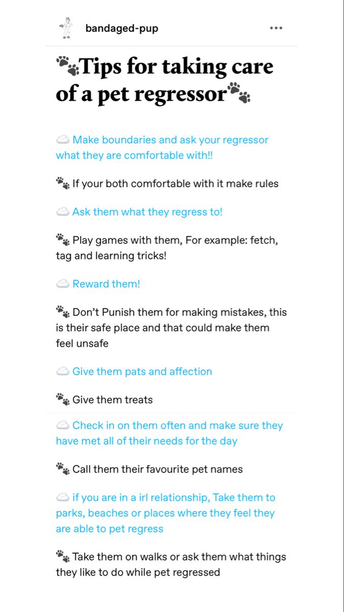 the top ten tips for taking care of a pet regresors info sheet