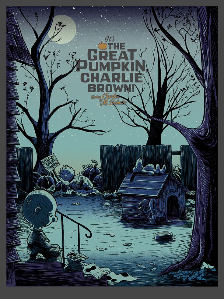 a poster for the great american charlie brown show