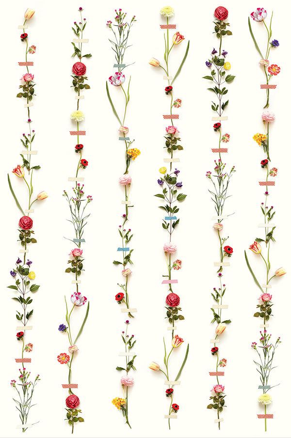 Flower Garland Wall Mural by Eijffinger for Brewster Home Fashions Diy Flower Wall, Diy Backsplash, Flower Garland, Pip Studio, Flower Garlands, Flower Wall Decor, Burke Decor, Designers Guild, Flower Beauty