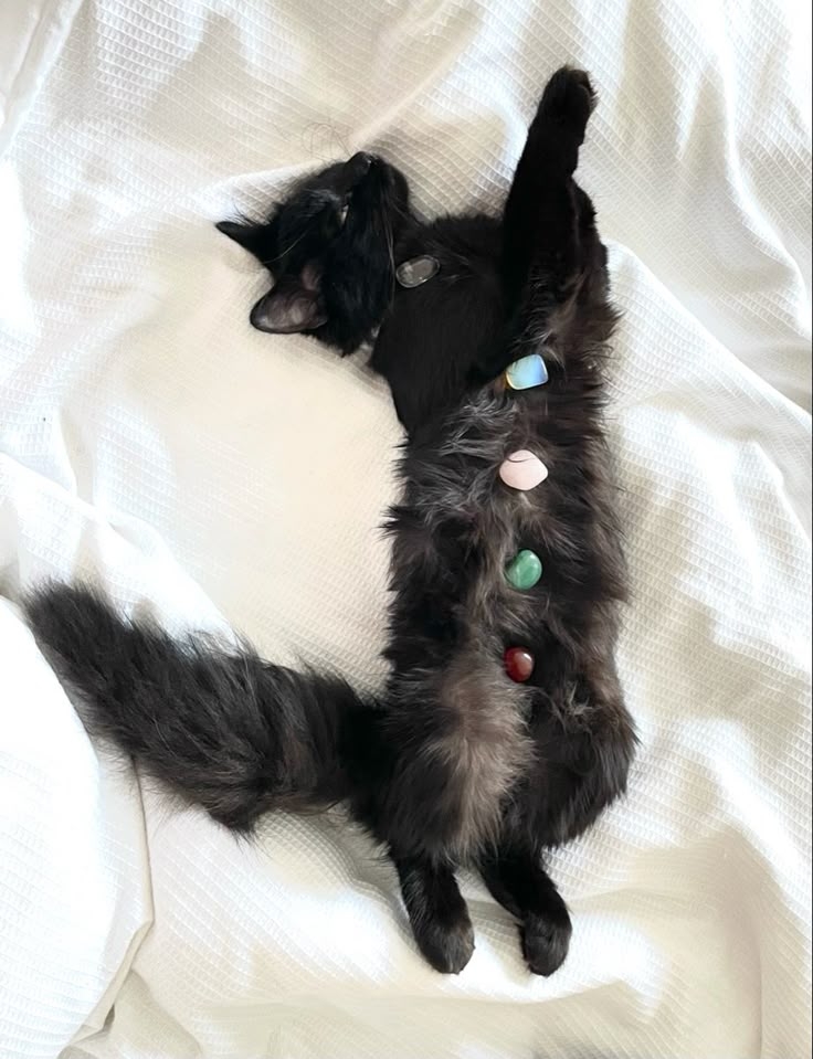 a black cat laying on top of a white blanket