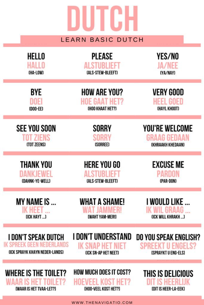 a pink and white poster with words that say dutch, learn basic dutch or english