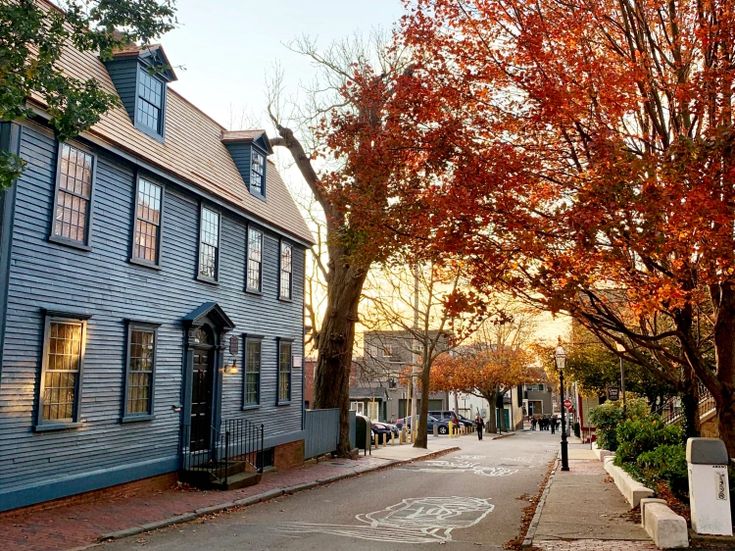 a street lined with blue houses and trees