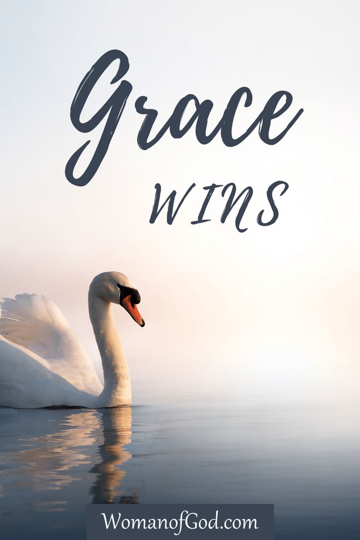 a white swan floating on top of water with the words grace wins written above it