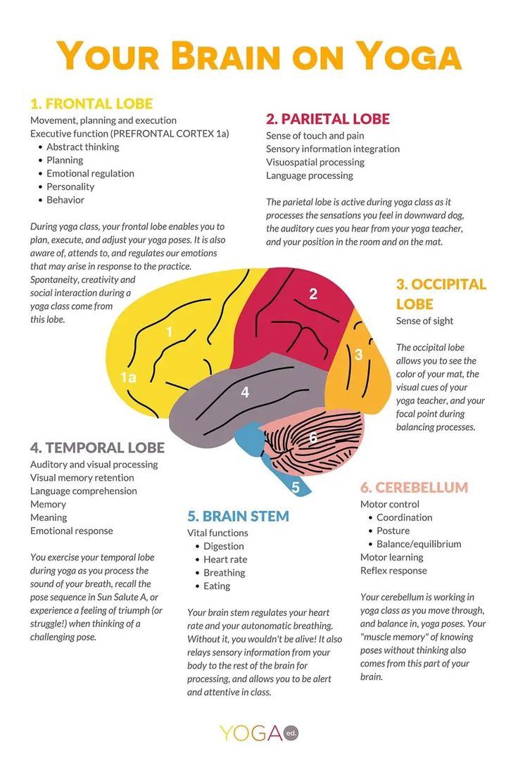 the diagram shows how to use your brain on yoga, including instructions and exercises for beginners