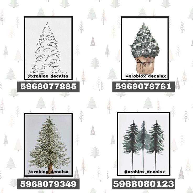 four different types of christmas trees on a white background with black and gray text below