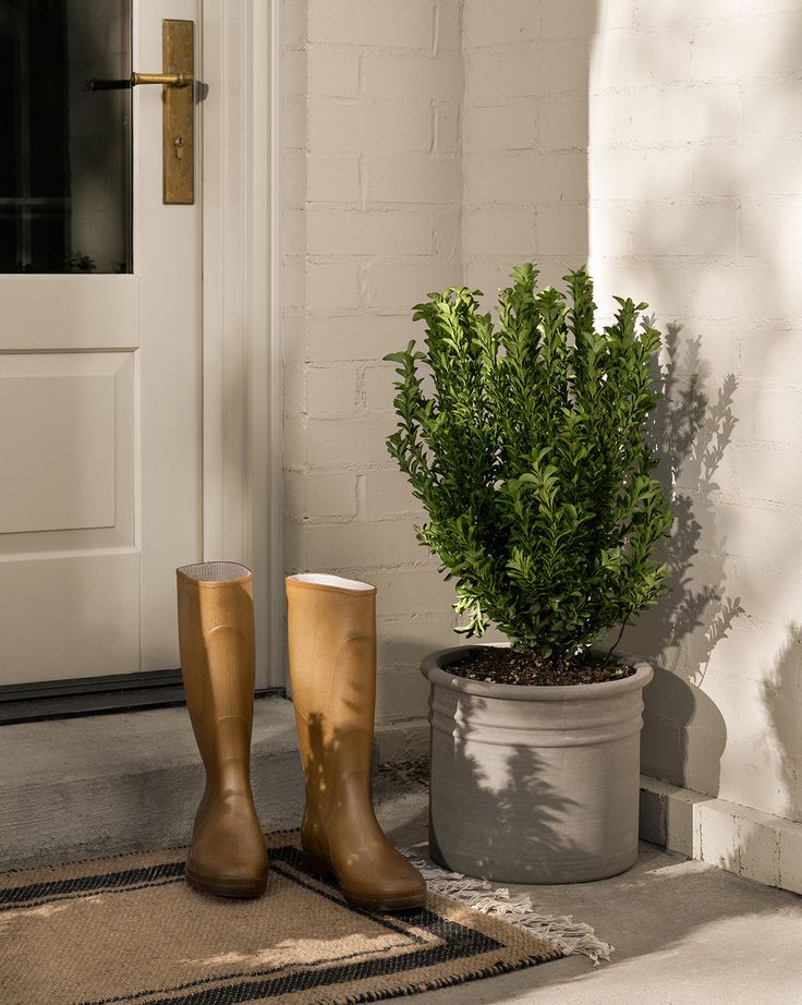 a pair of rubber boots sitting next to a potted plant on the front porch