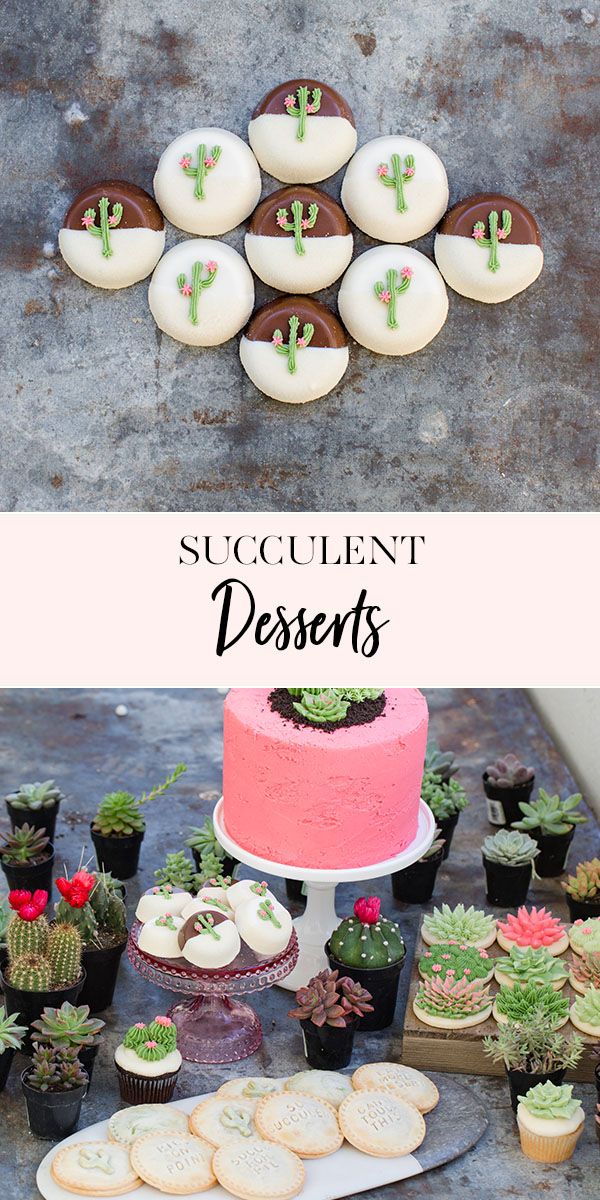 a table topped with lots of cakes and desserts covered in frosting next to small cactus plants