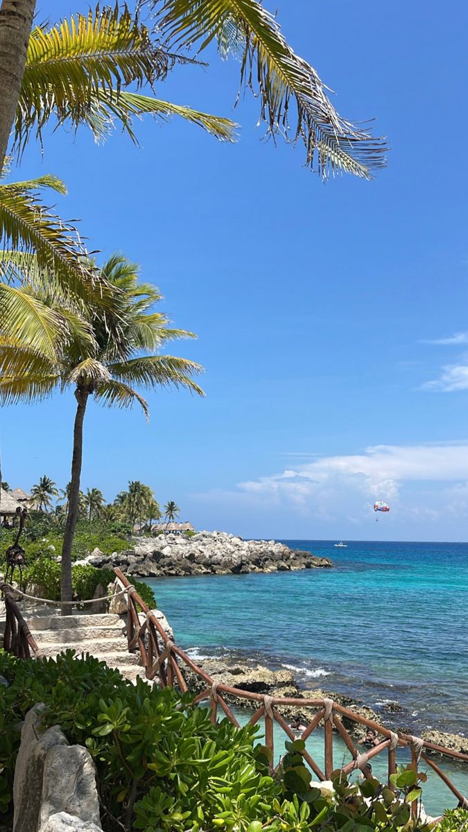 palm trees line the shore of a tropical beach