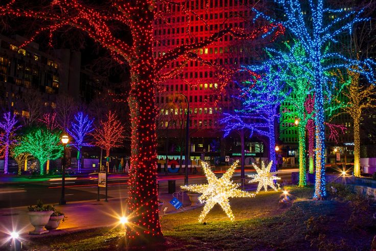 christmas lights decorate trees and bushes in a city park at night with skyscrapers in the background