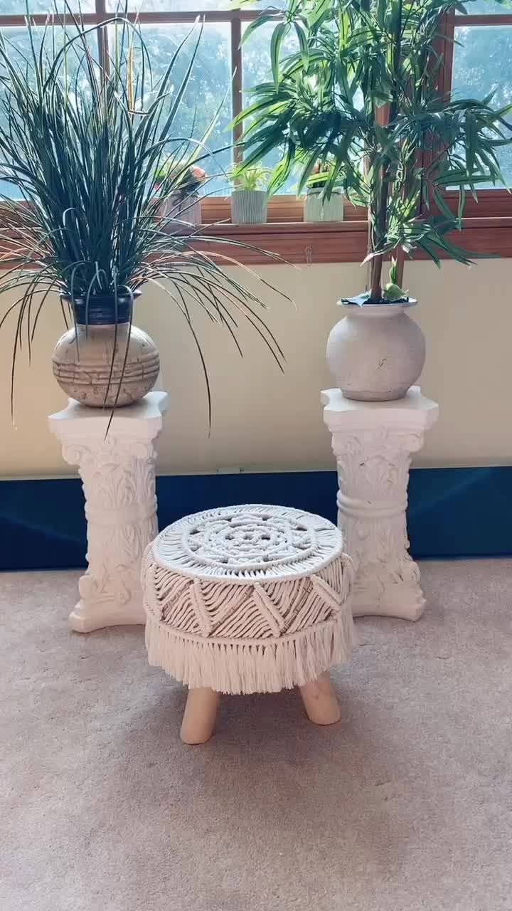 two white vases with plants in them sitting next to each other near a window