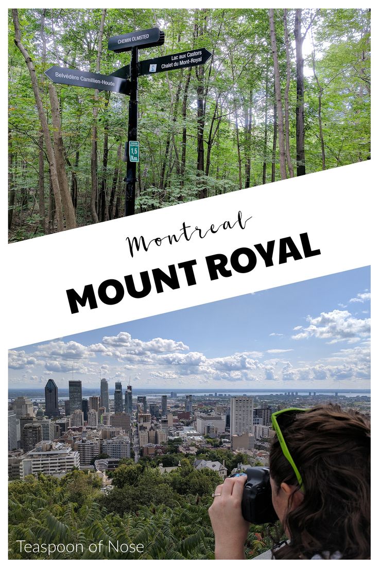 a woman taking pictures of the city skyline with her camera and text that reads, montreal mount royal