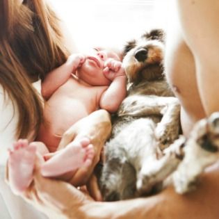 a woman holding a baby in her arms while laying next to a dog and cat