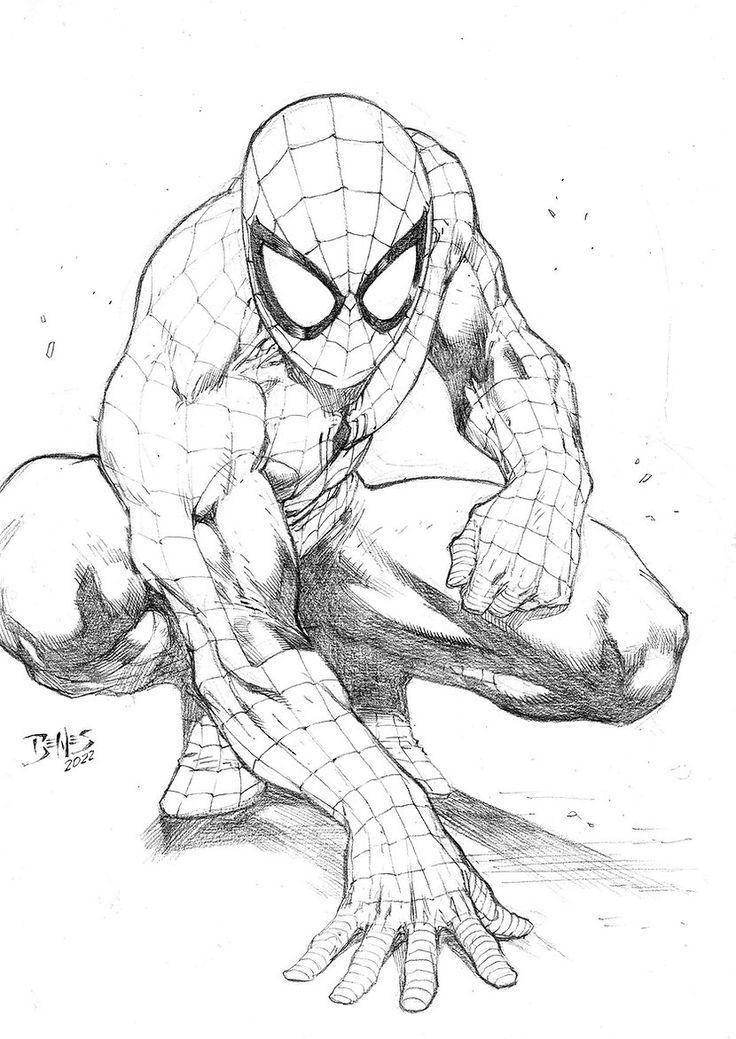 the amazing spider - man drawing in pencil