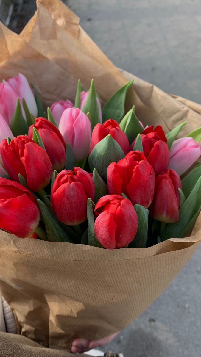 a bunch of red and pink tulips in a paper bag