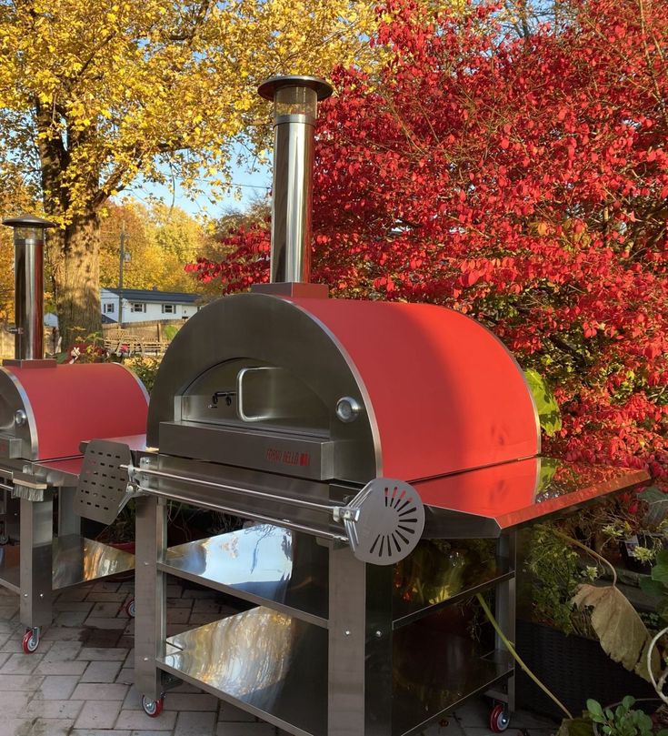 an outdoor pizza oven sitting on top of a brick patio next to trees with red leaves