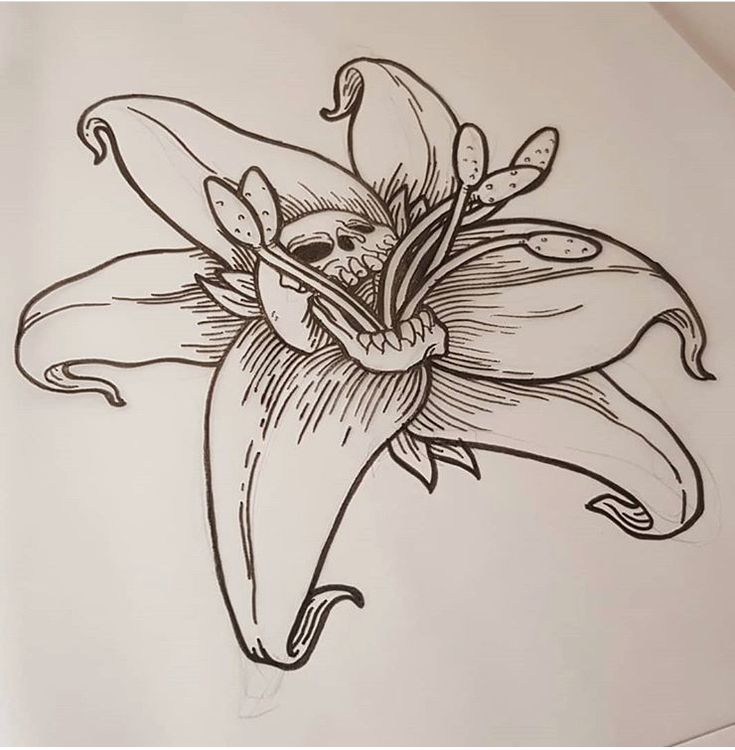 a drawing of a flower with leaves on it