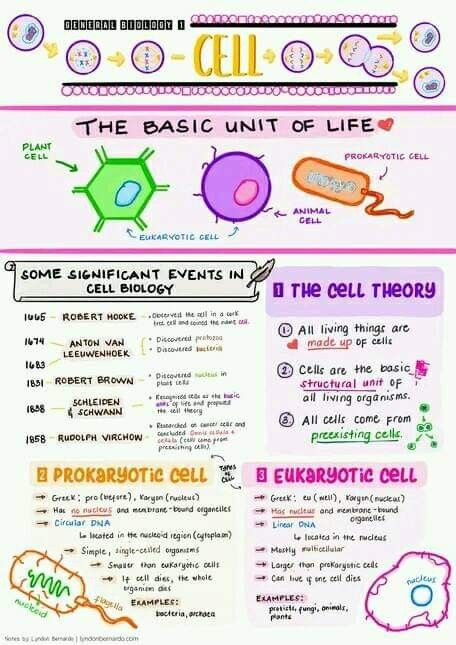 the basic unit of life poster is shown in two different colors and font, with an image