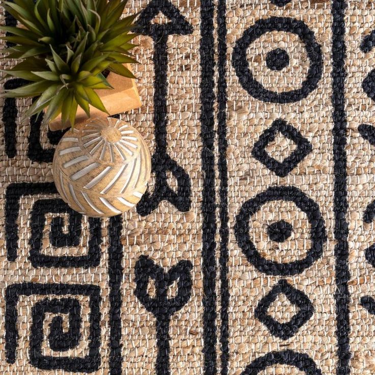 a potted plant sitting on top of a rug