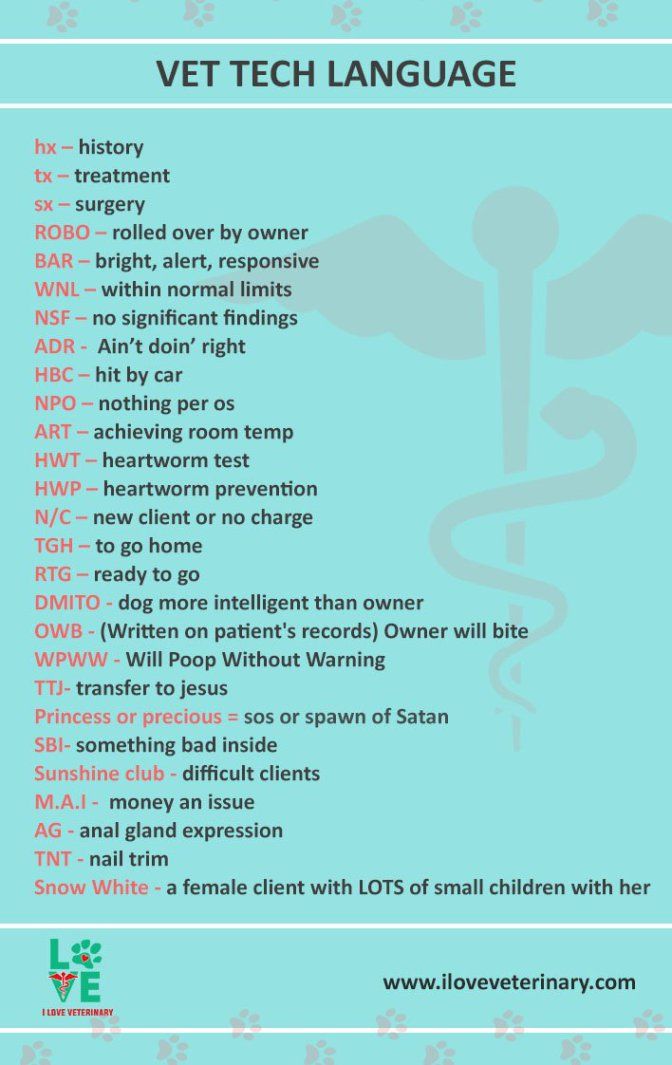 a poster with the words vet tech language