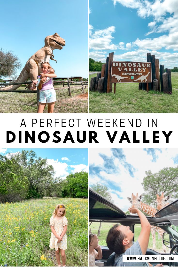 people standing in front of a sign with dinosaurs on it and the words, a perfect weekend