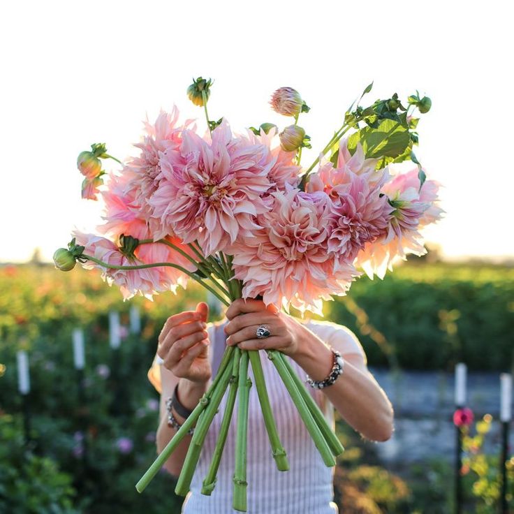 a woman holding flowers in her hands with the sun shining on her face behind her