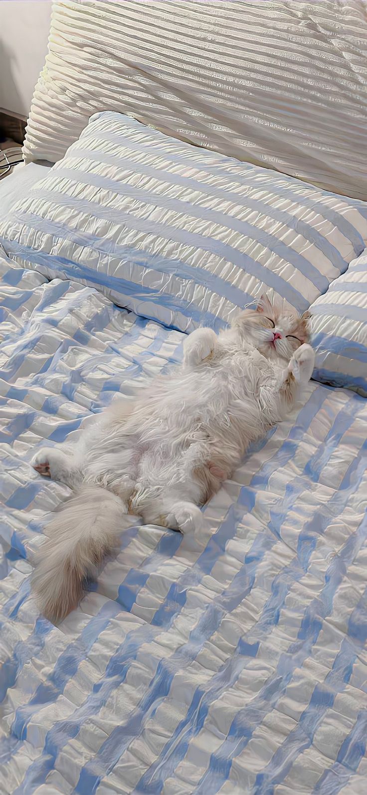 a white cat laying on top of a blue and white striped bedspread next to pillows