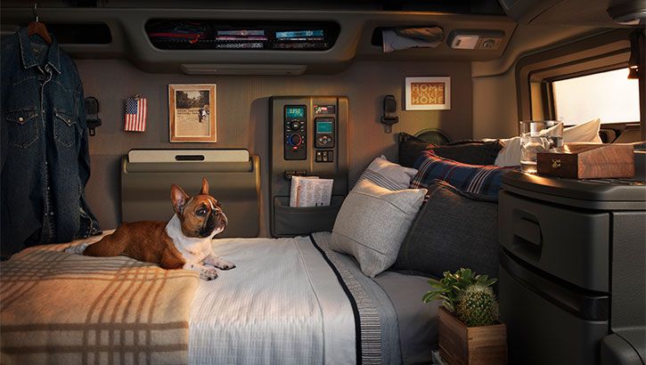 a dog laying on top of a bed in a room with lots of furniture and decor