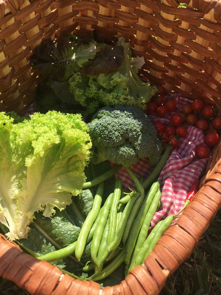 a basket filled with lots of different types of vegetables