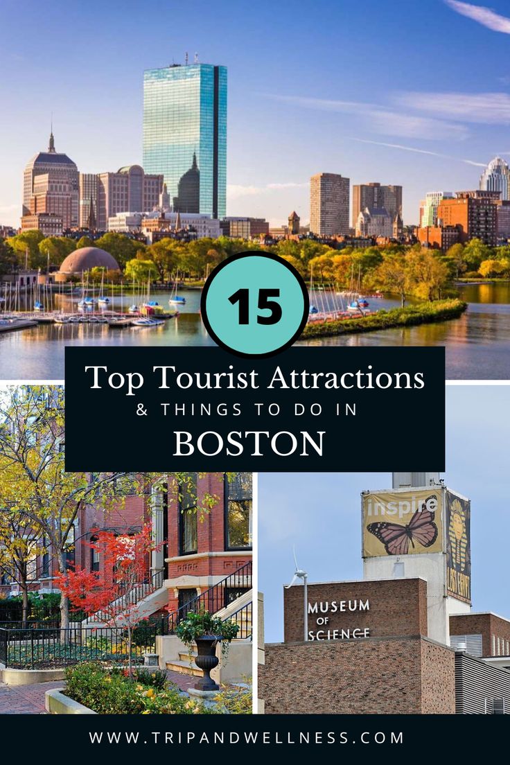 the top tourist attractions and things to do in boston