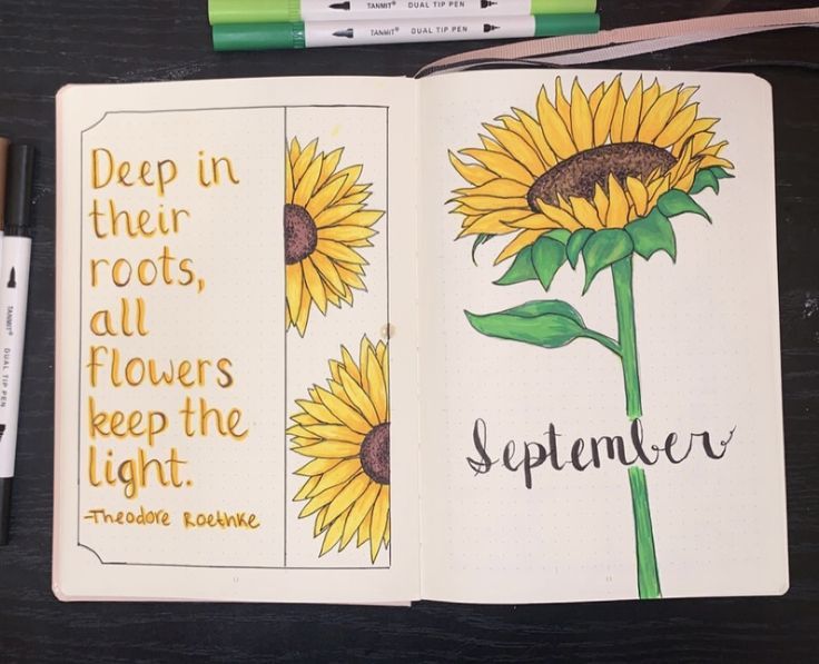 an open book with sunflowers on it and some markers next to it that read, deep in their roots, all flowers keep the light