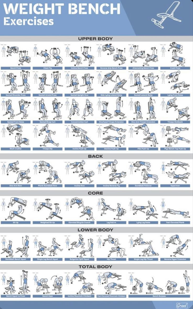 an exercise poster showing the different exercises