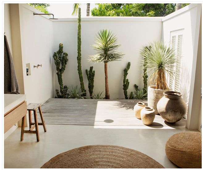 a bathroom with plants and potted trees in it