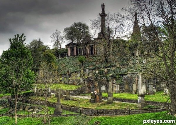 an old cemetery surrounded by trees and grass