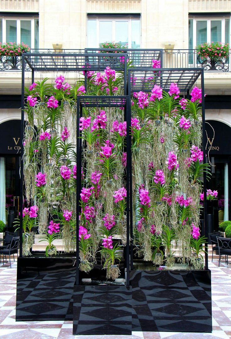 an outdoor garden with purple flowers and greenery on the wall, in front of a building