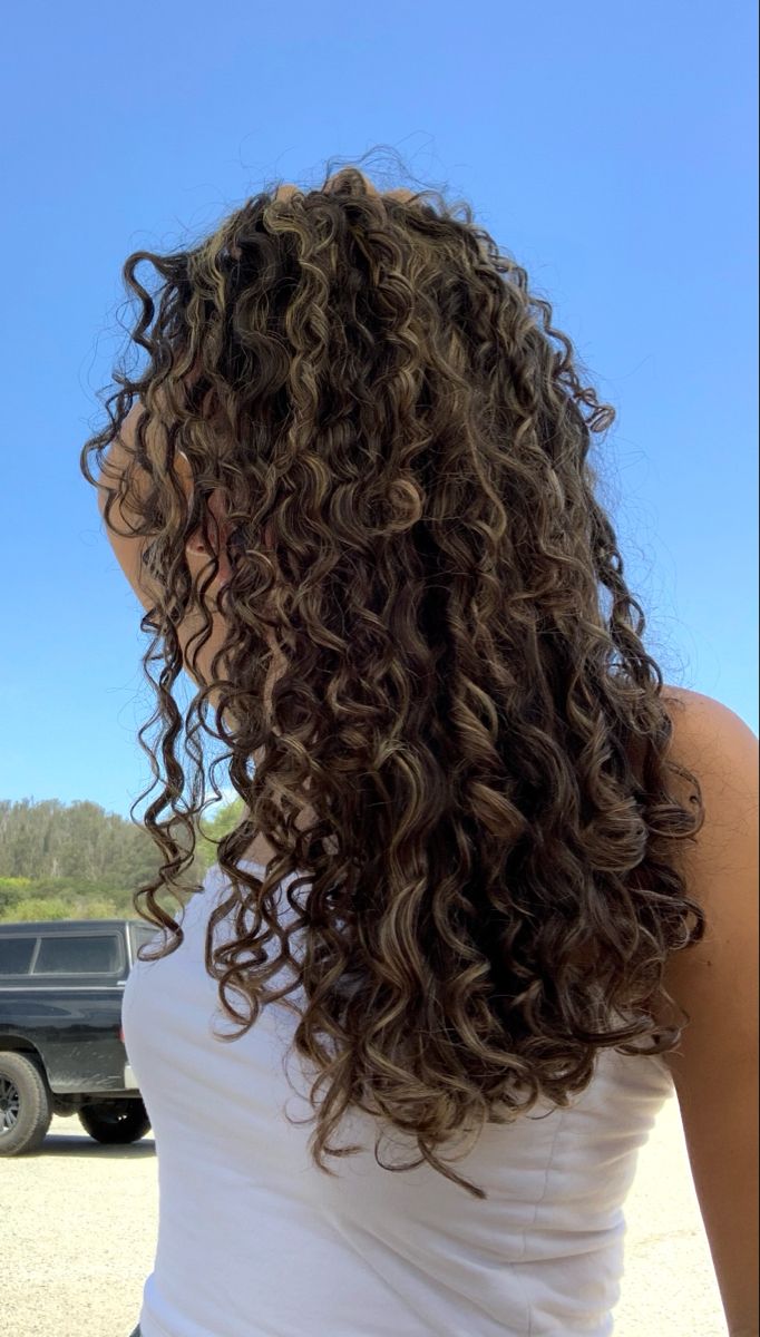 Brown Highlighted Curly Hair, Dream Curly Hair, Natural Highlights Curly Hair, Dark Curls With Highlights, Natural Highlights For Dark Brown Hair Curly, Cool Brown Curly Hair, Curly Hair Subtle Highlights, Sun Kissed Curly Hair Highlights, Curly Brown Hair Highlights