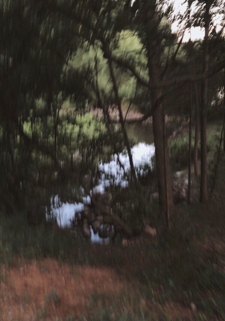 a blurry photo of trees and water in the woods with no one on it