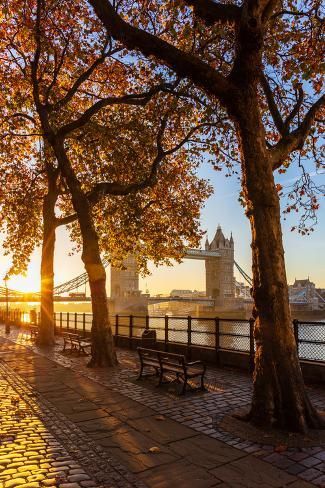 the sun is setting over tower bridge as people sit on benches in front of them