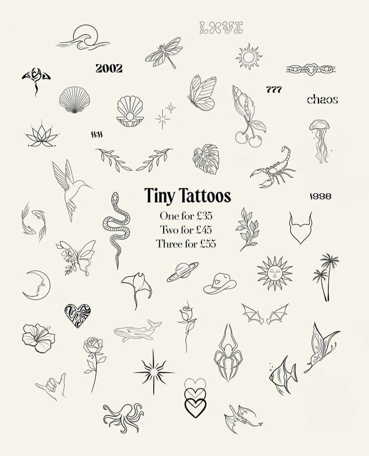 the cover of tiny tattoos, one for every two for us there is $ 25