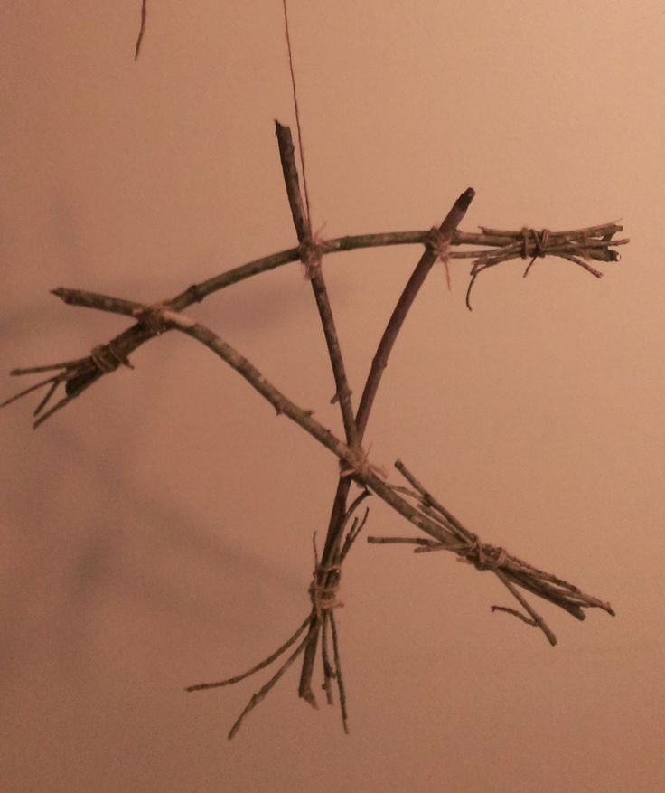 a bird sitting on top of a tree branch