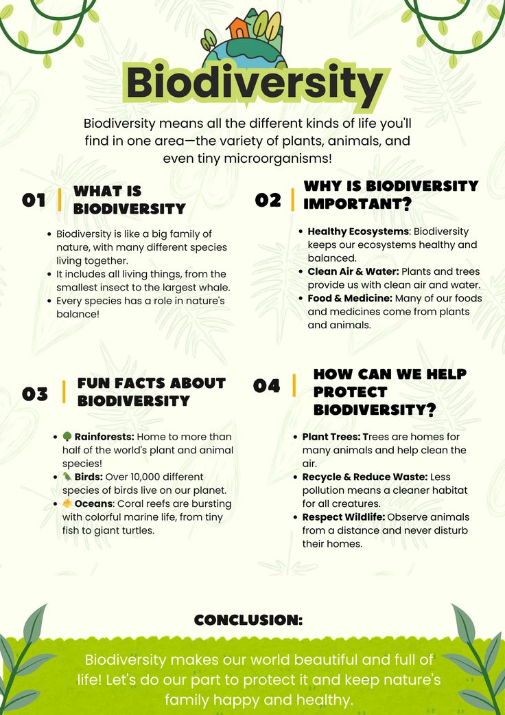 a poster with the words biodiversity and an image of plants on it