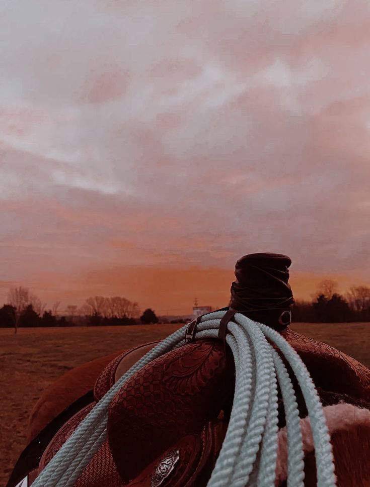 the back end of a brown horse with white rope on it's bridle