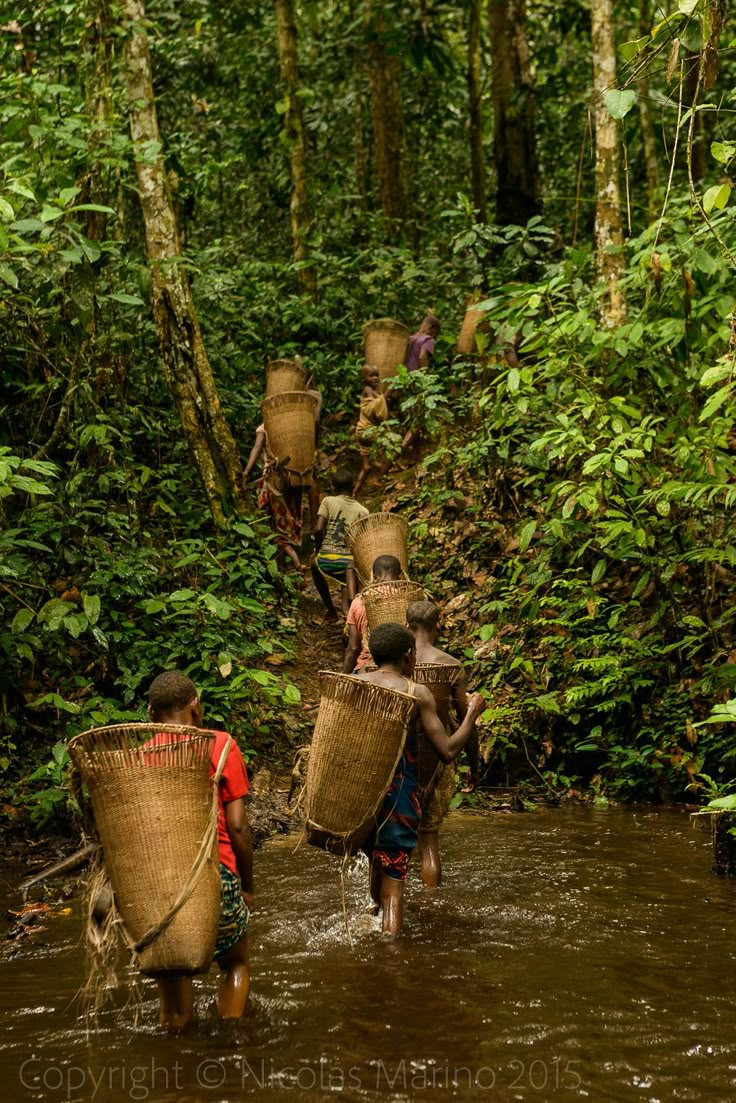 people carrying baskets across a river in the jungle