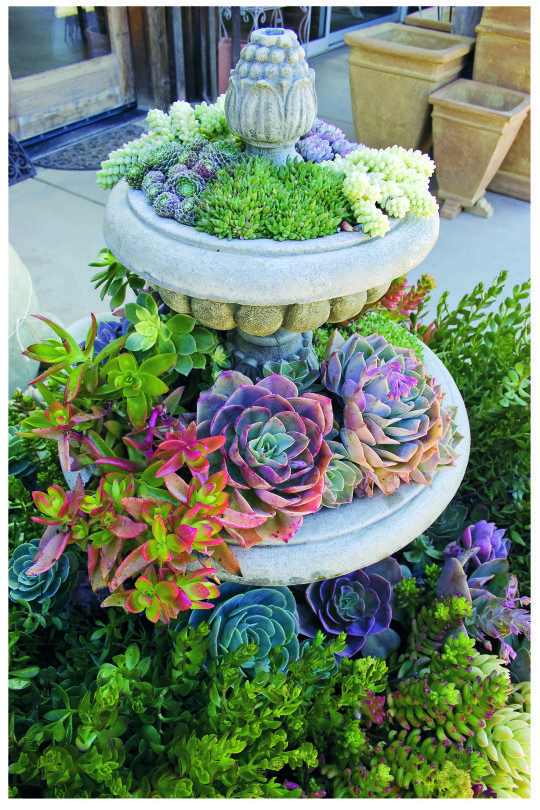 three tiered planter filled with succulents and plants