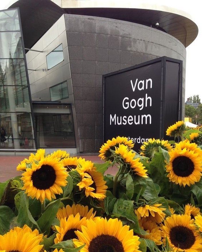 sunflowers are in front of the van goghn museum sign on display outside