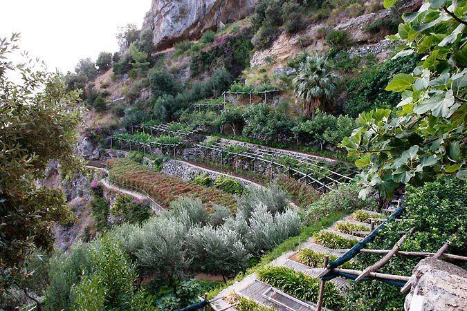 stairs leading up to the top of a steep hill with trees and bushes on both sides