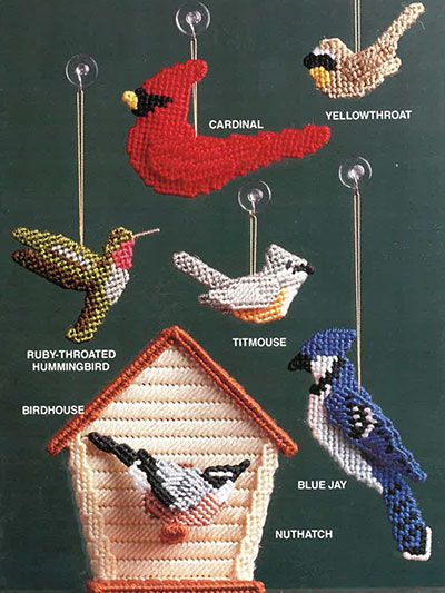 cross stitch bird ornaments hanging from strings on a blackboard with words describing the different kinds of birds