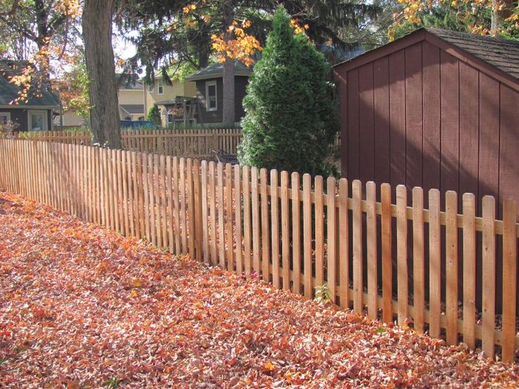 a wooden fence surrounded by fallen leaves in front of a red shed and trees with houses in the background