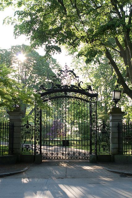 an iron gate in the middle of a park