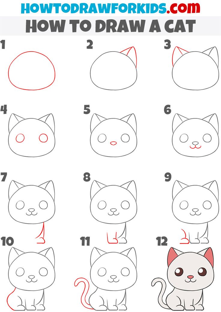 how to draw a cat step by step instructions for kids and beginners with pictures