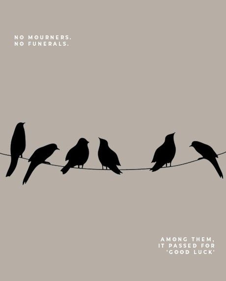 six birds sitting on a wire with the words no mummies, no friends written above them